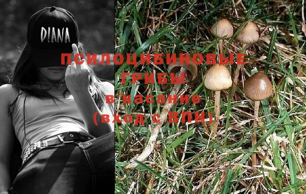 кокаин Михайлов