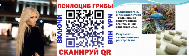 Галлюциногенные грибы Cubensis  Купить где  Чебоксары 